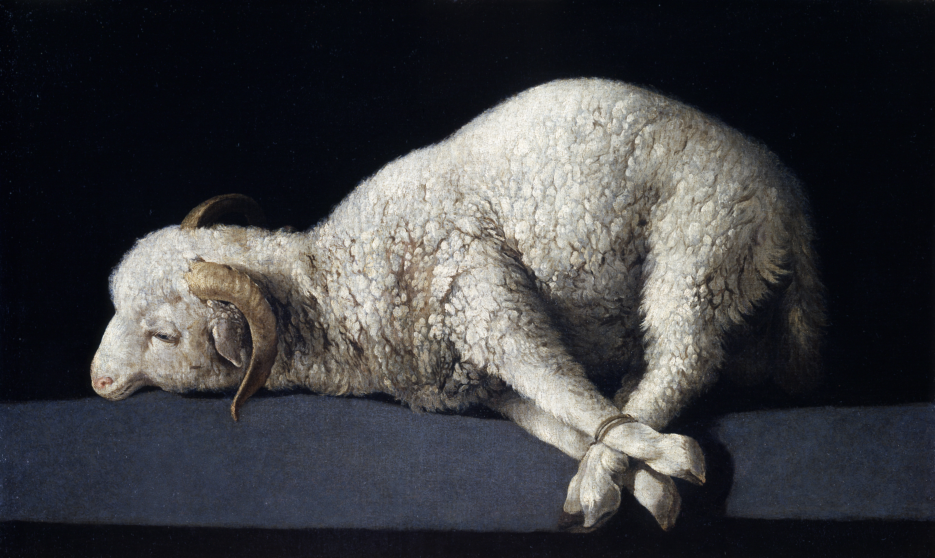 lamb for slaughter.jpg